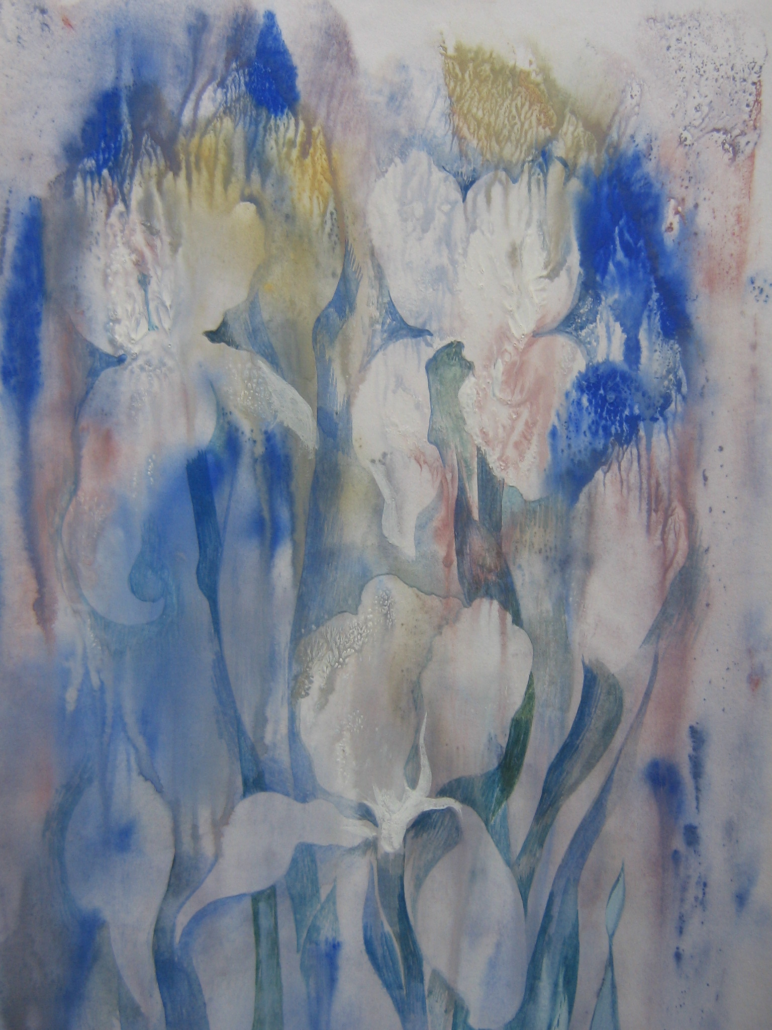 Ирисы.