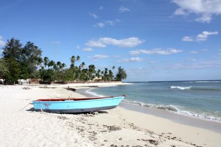 Карибы. Фото продается.