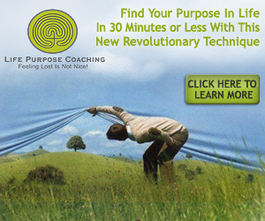 Life search coaching