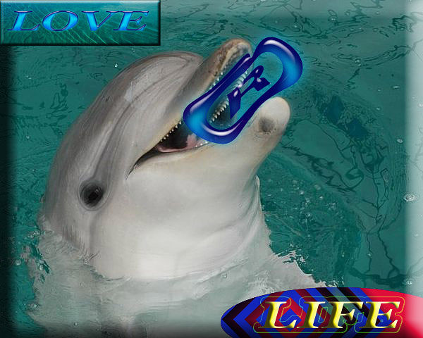 Фотошоп.Дельфин.