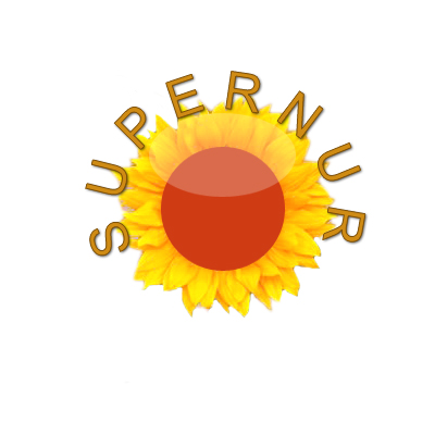 Лого "Агенство Домашних услуг"