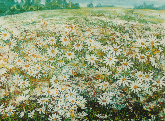 Ромашковое поле. Холст, масло. 80 на 65 см