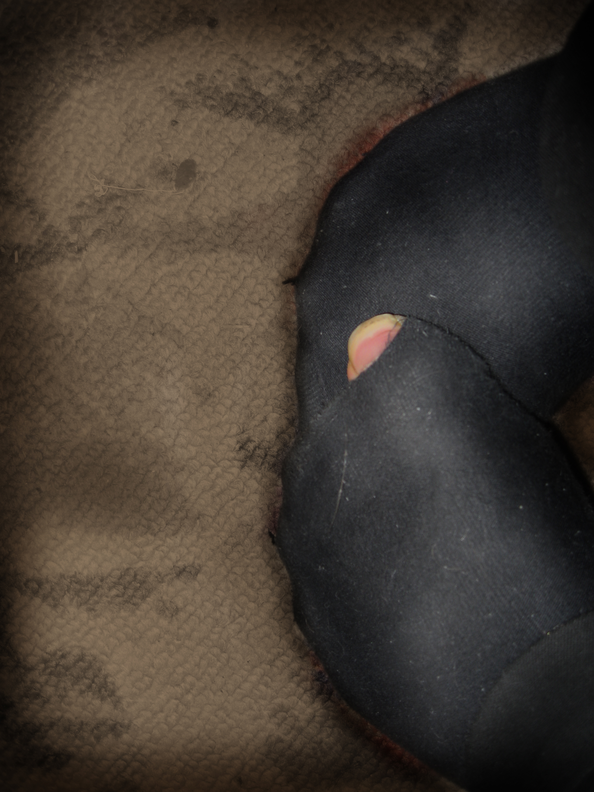 лицо общества