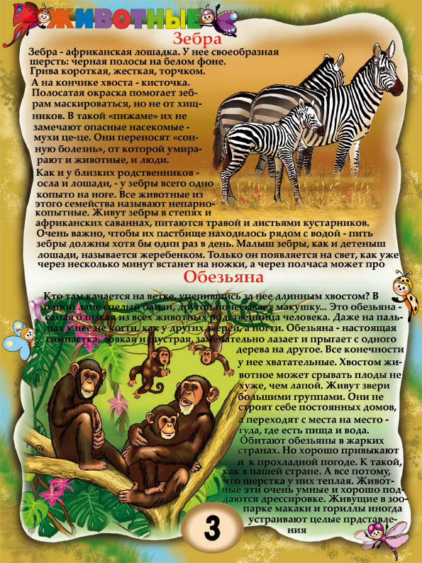 зебра и обезьяна