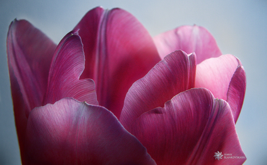 вздох весны во сне, перед пробуждением