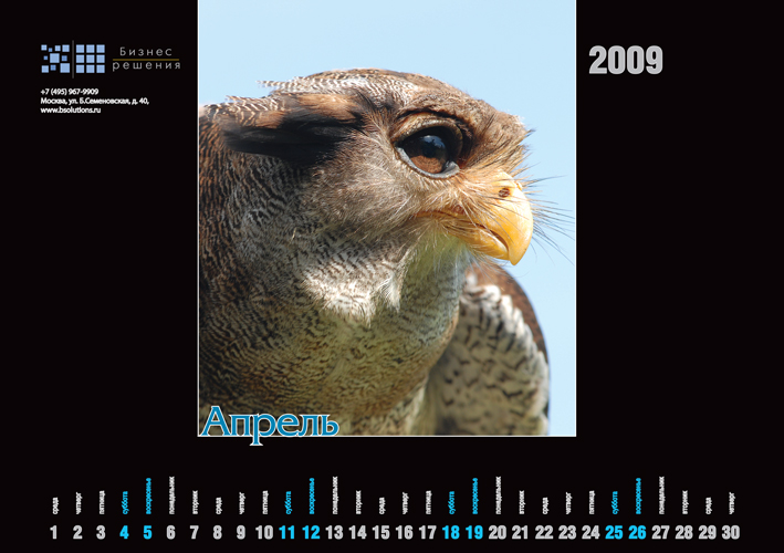календарь, апрель.