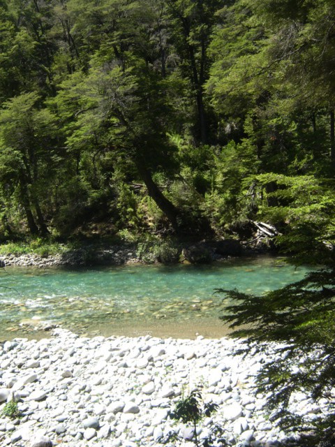 Патагония 1