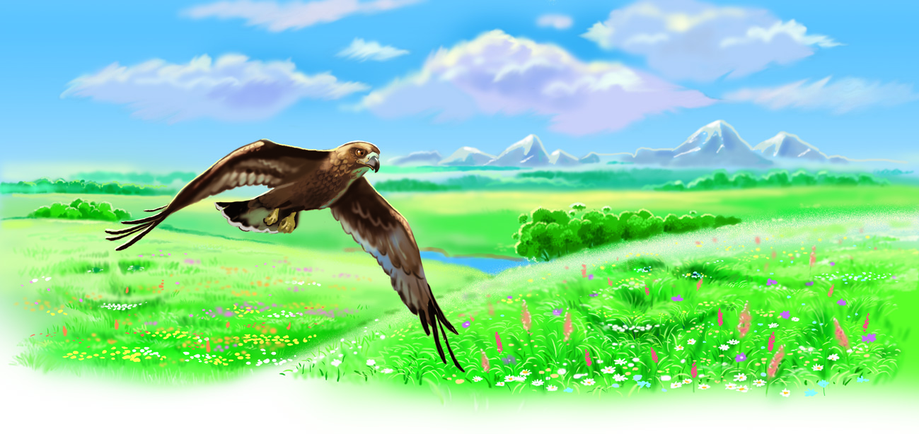 Орел и луга