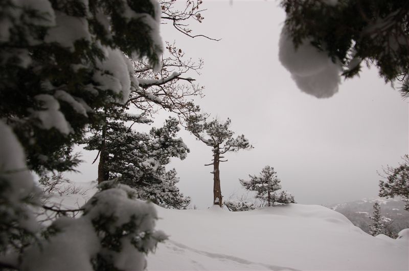 Снег идет...