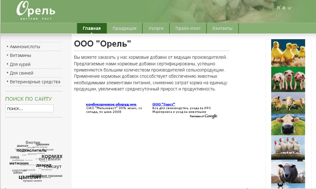 Сайт для ООО "Орель"