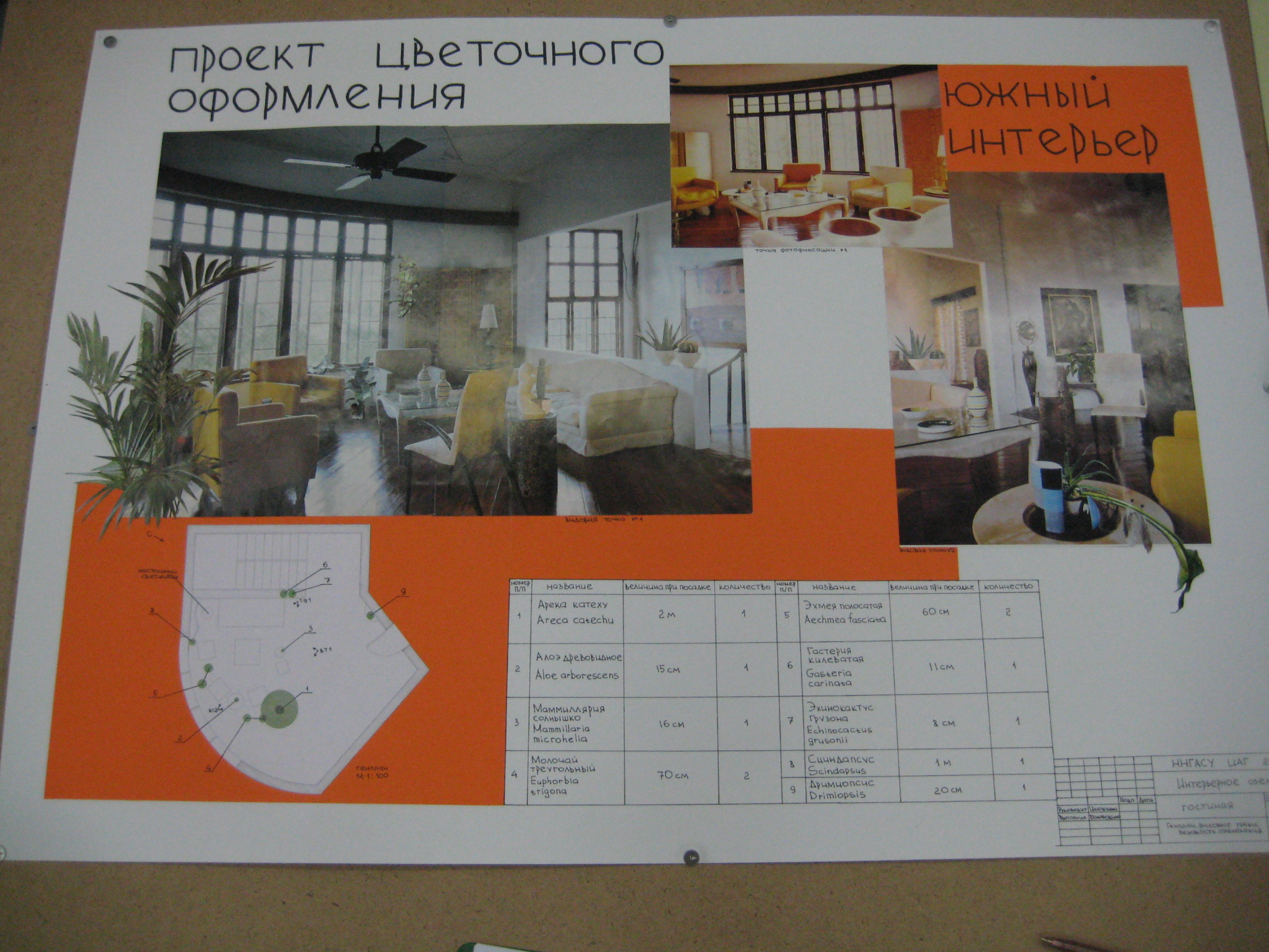 фитодизайн