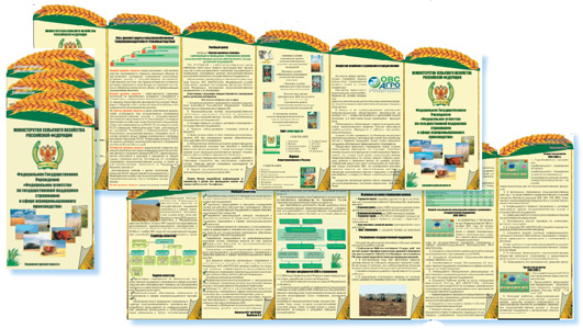 Другой вид раскладушкм