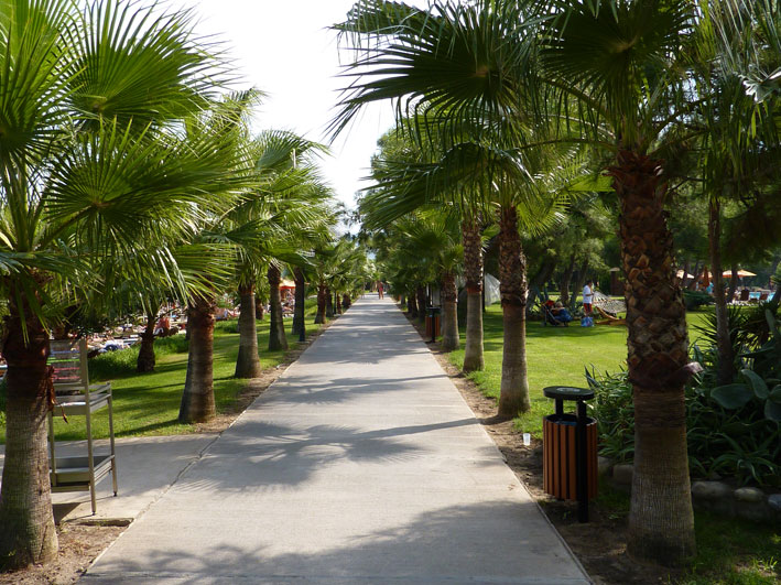 Ландшафтный дизайн