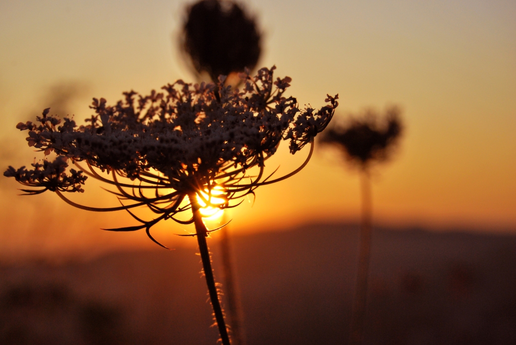 Краски заката