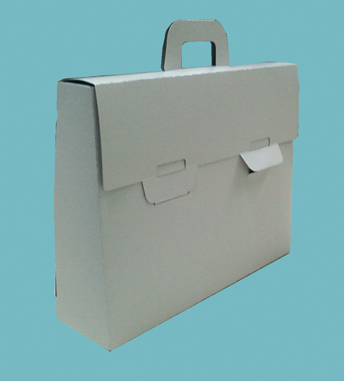 Папка в виде картонного портфеля