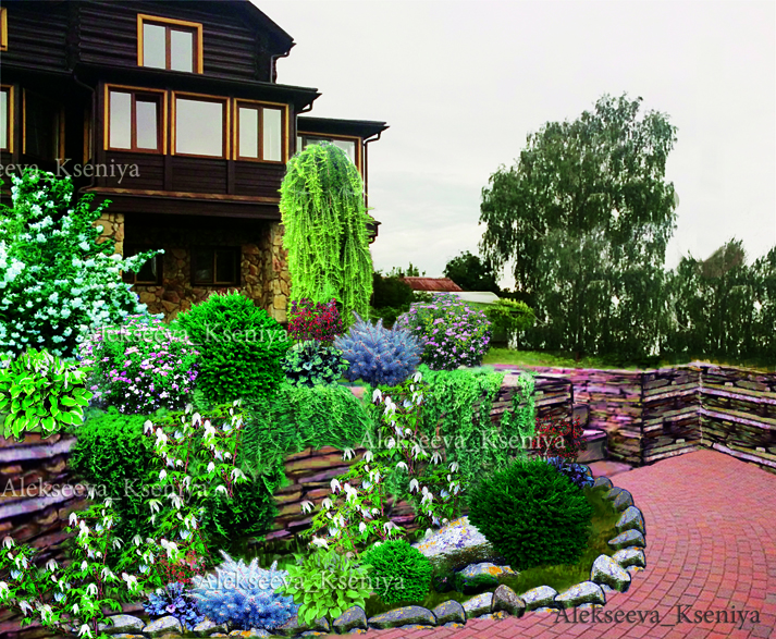 Проект участка 2. Эскиз  2