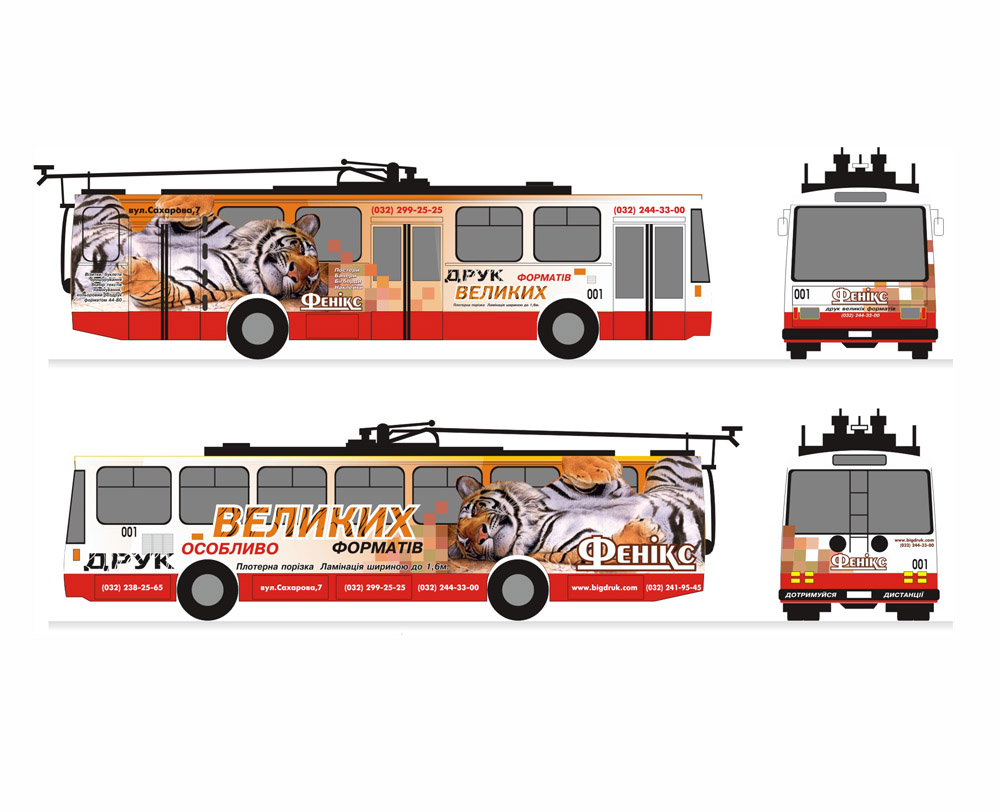 "Феникс плюс"