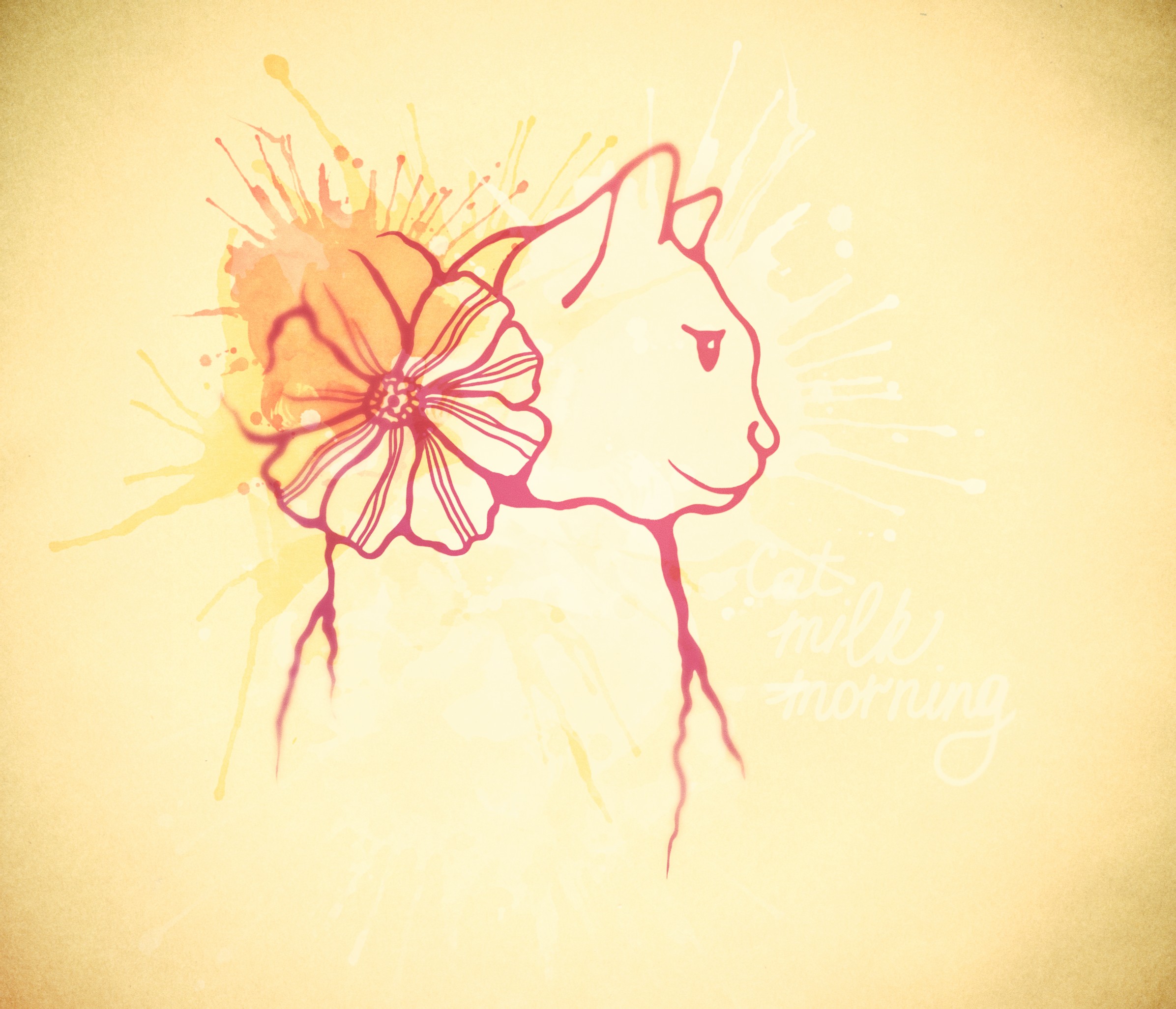 Кошка, молоко, утро