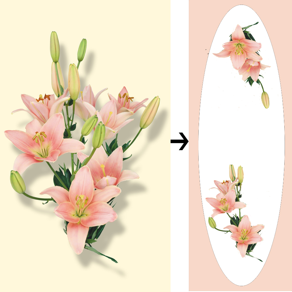 Фотопечать "Лилии" для строительной компании