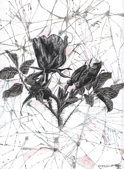 Без названия