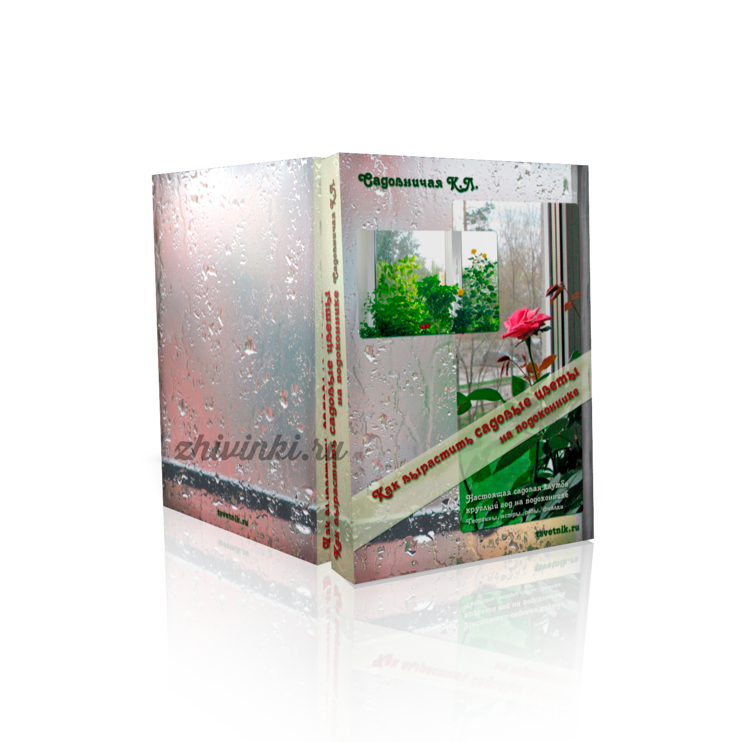 Дизайн 3d-обложек