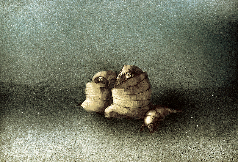 Земли нищих