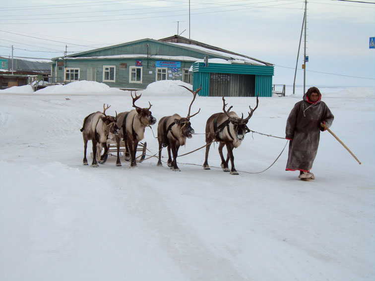 На  память  о  севере....