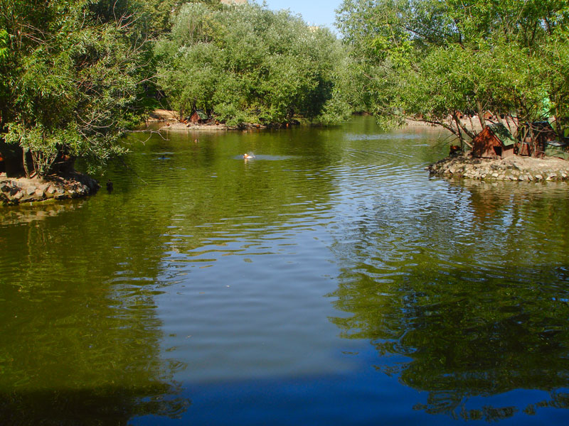 Москва Зоо