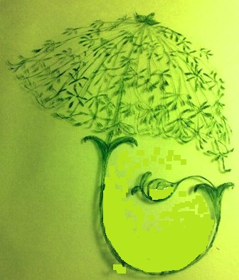 ваше название