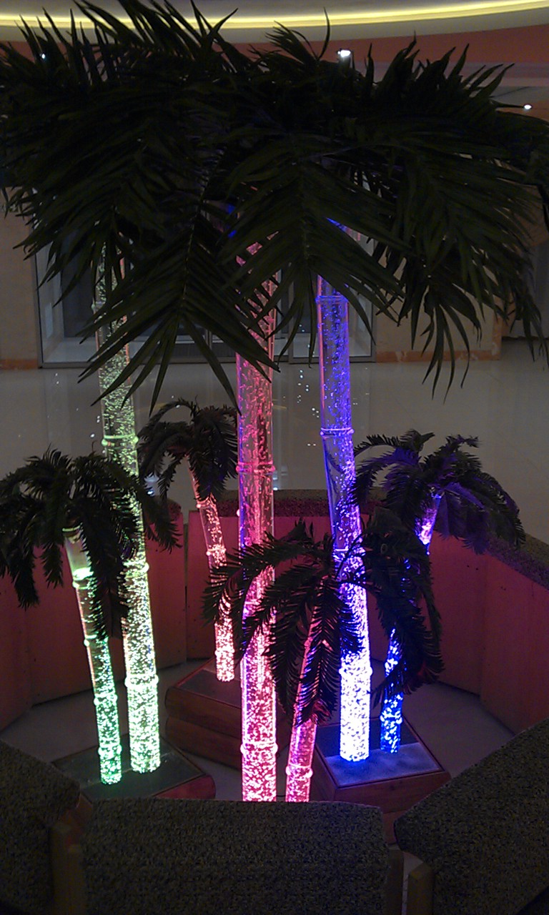 Аква-пальма