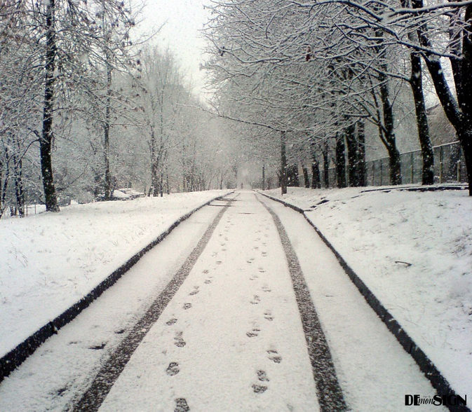 начало зимы