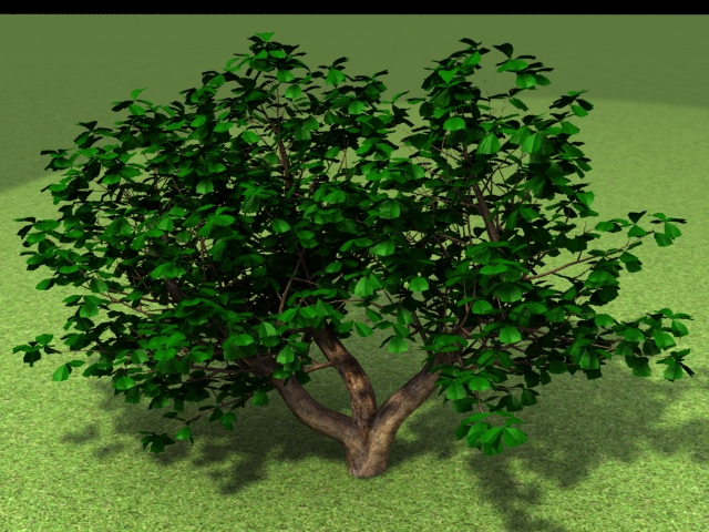 небольшое дерево