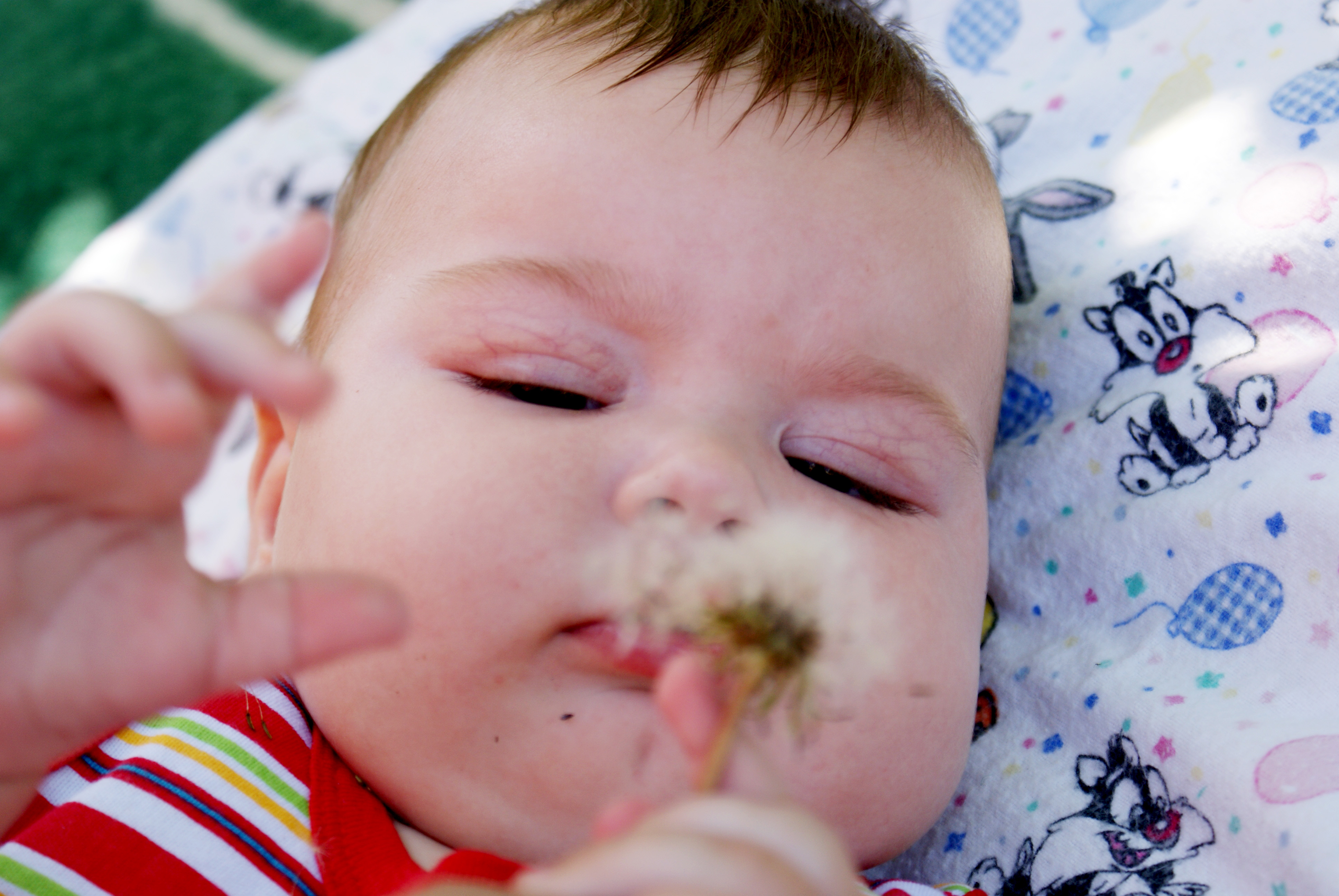 я познаю мир