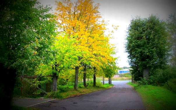 Из серии "Осень"