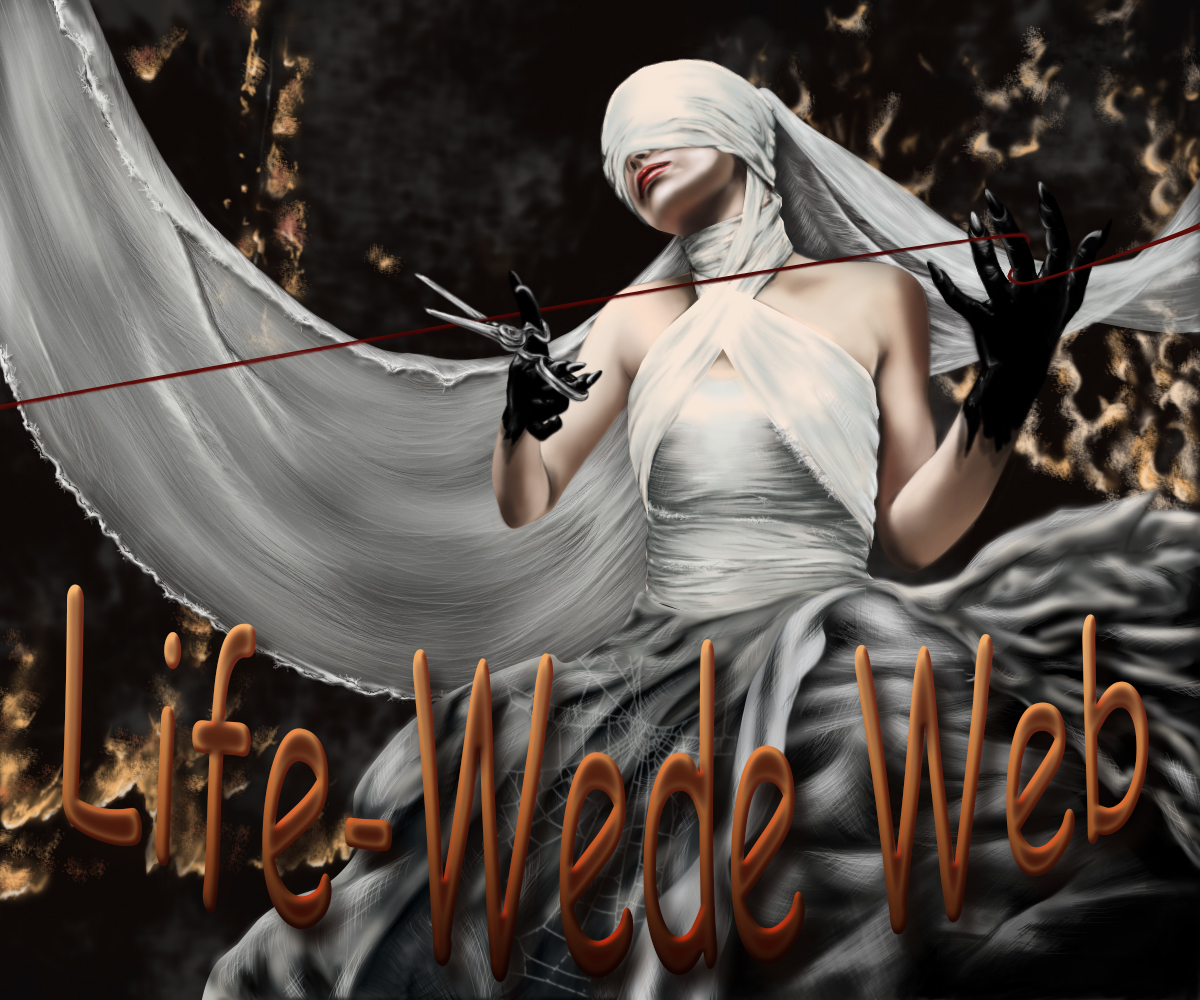 жизнь паутина