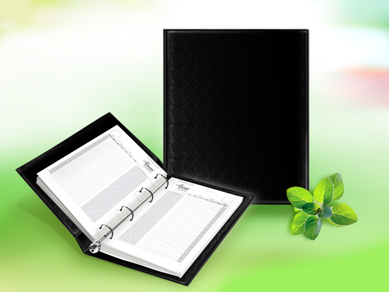 Ежедневник