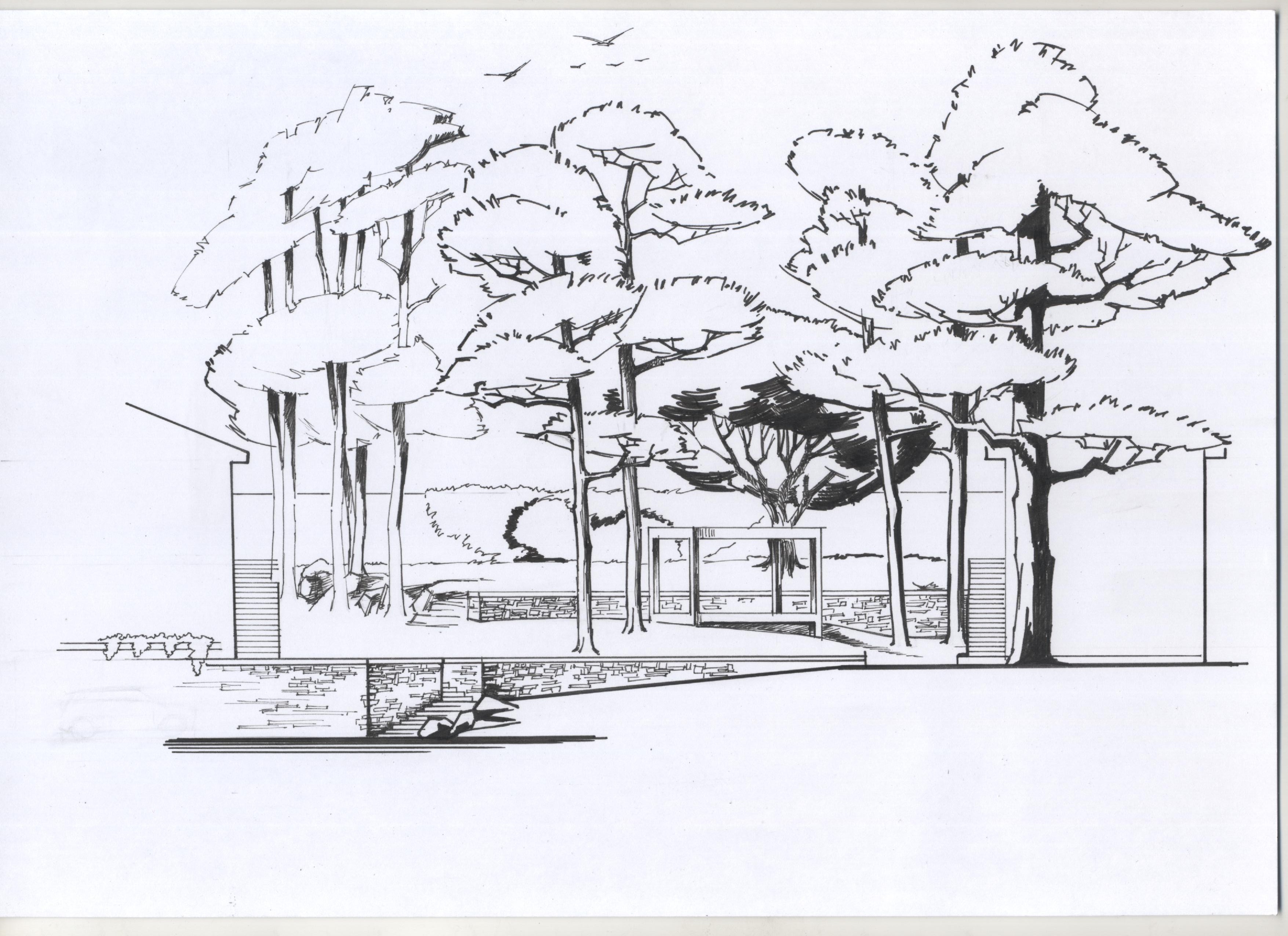 Ялта. Долоса