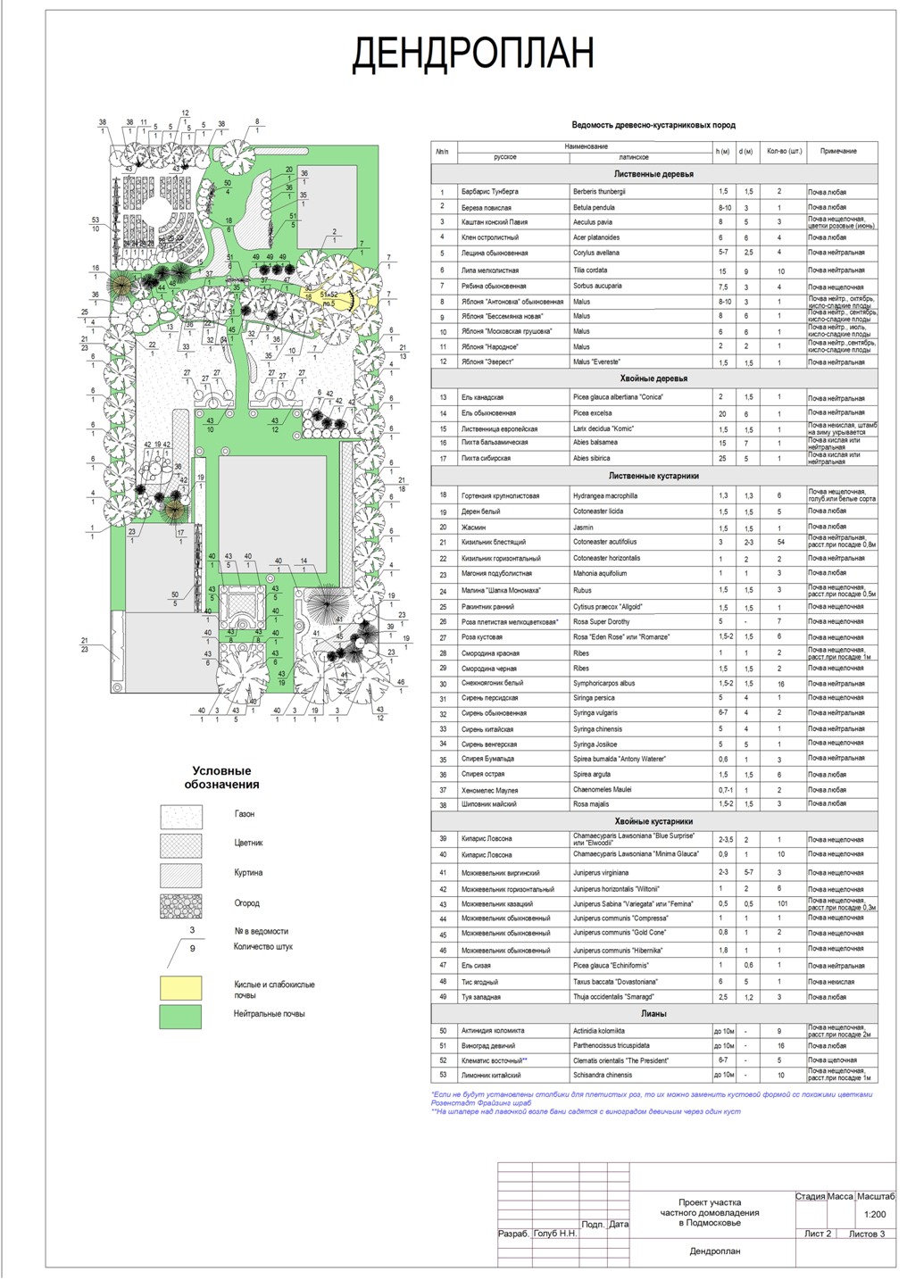 Дендроплан участка на 12 сотках