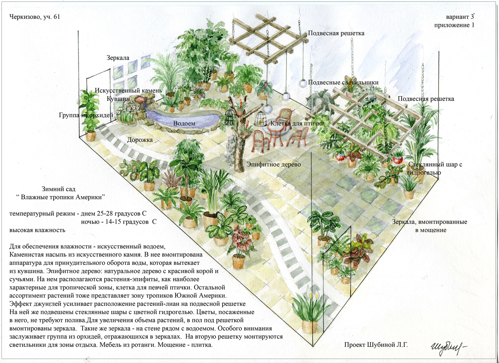 Эскиз зимнего сада.