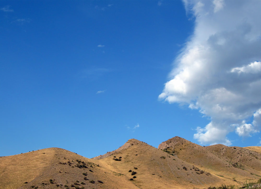 Желтое на синем