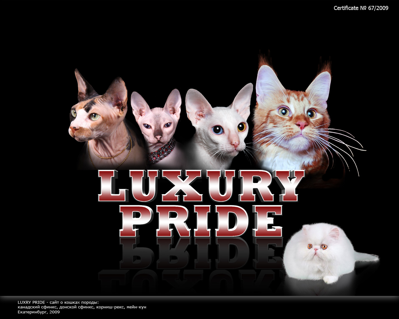 Luxury Pride главная