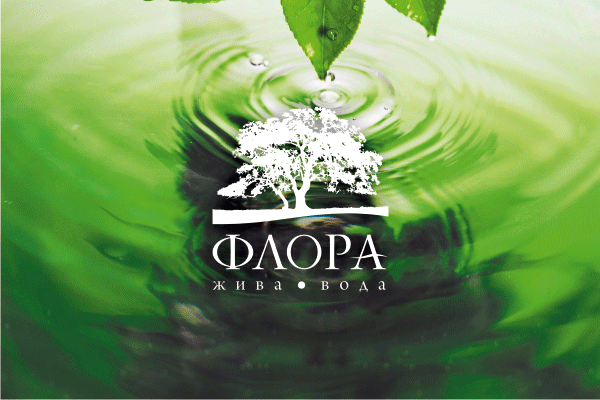 Компания по добыче и очистке минеральной воды "Флора"
