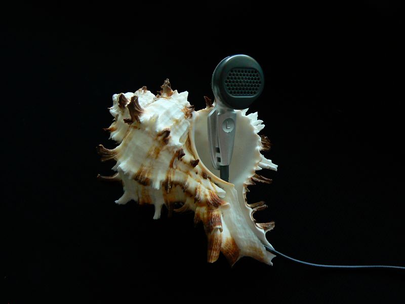 Фото для фотобанка3