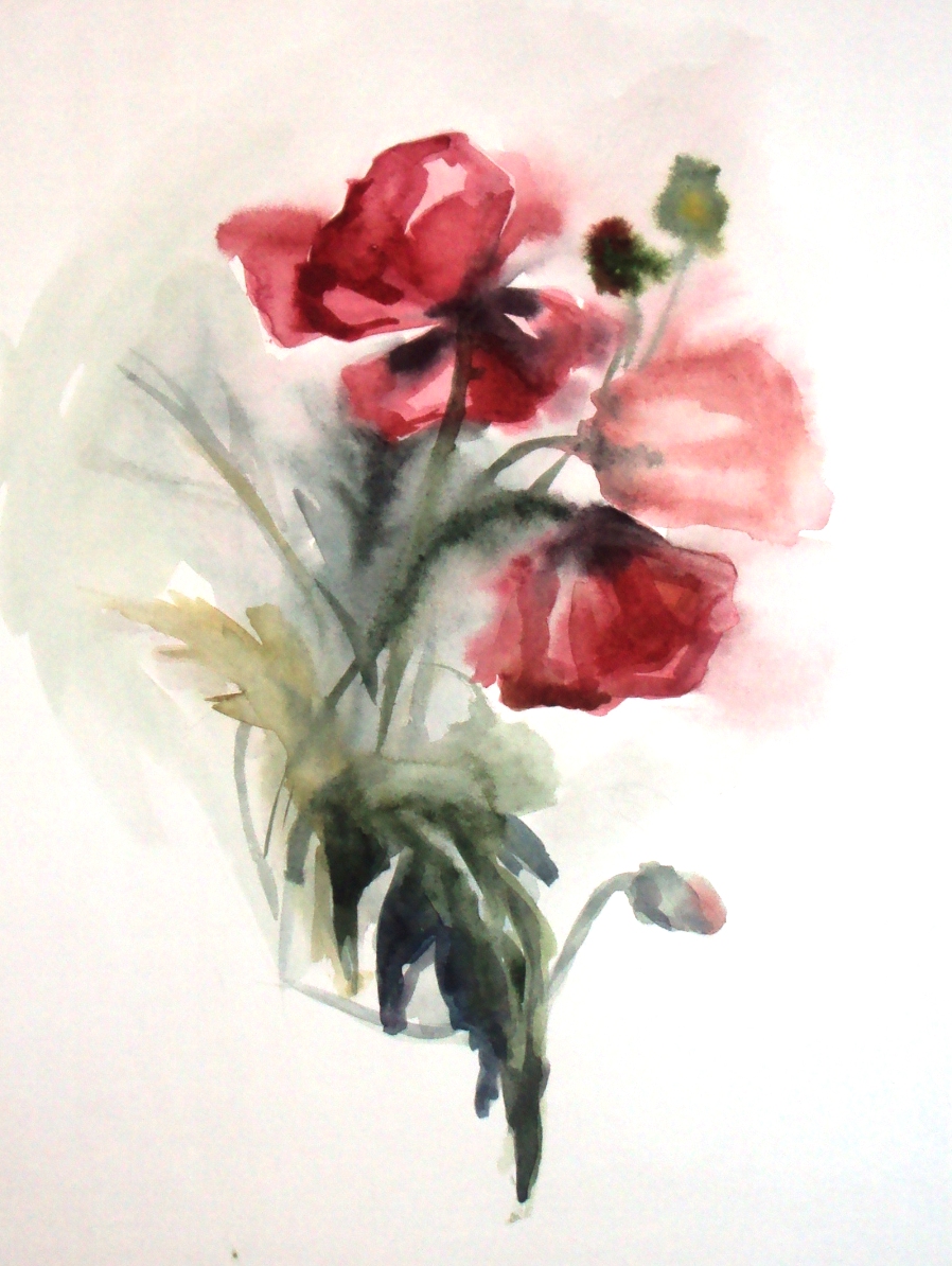 "Красные маки"