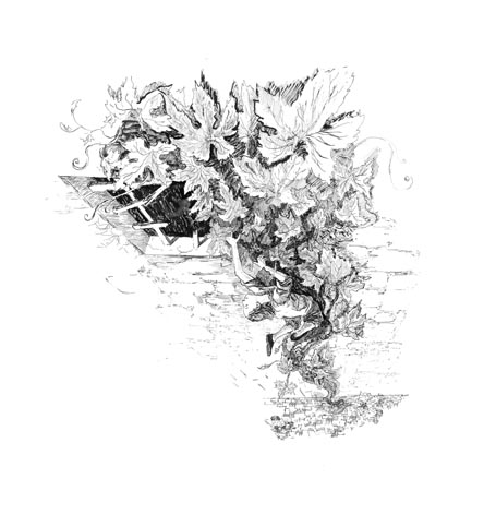 "Дитинство Адальберта Ерделі", иллюстрация