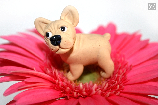 фигурка собаки, миниатюра. "французик".  Полимерная глина