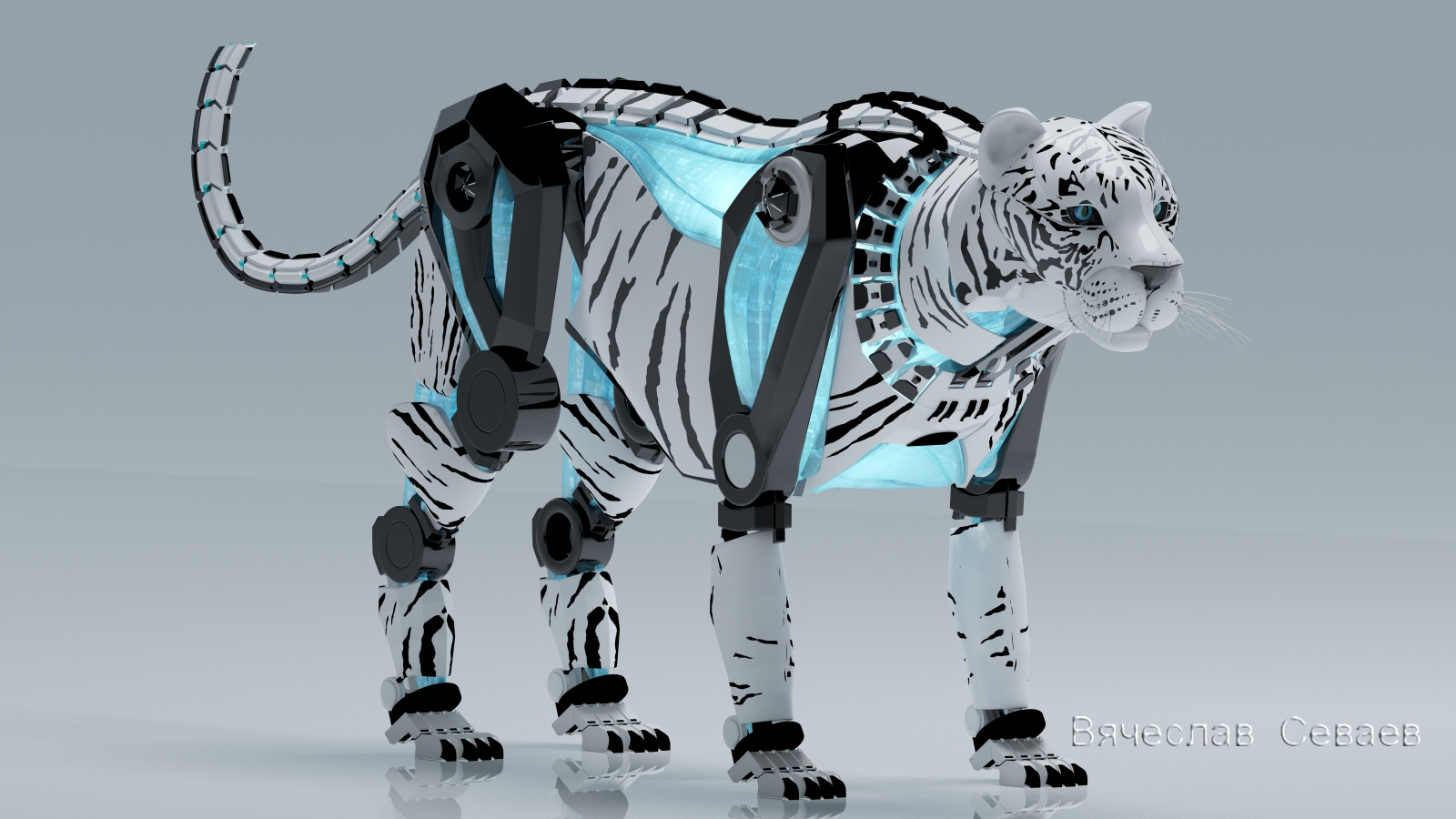Aqua tiger