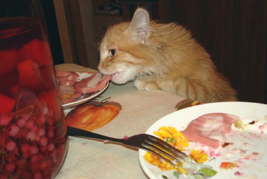 "Лакомый кусочек"