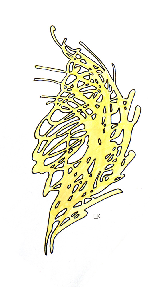 Серия "Стилизация Пера"