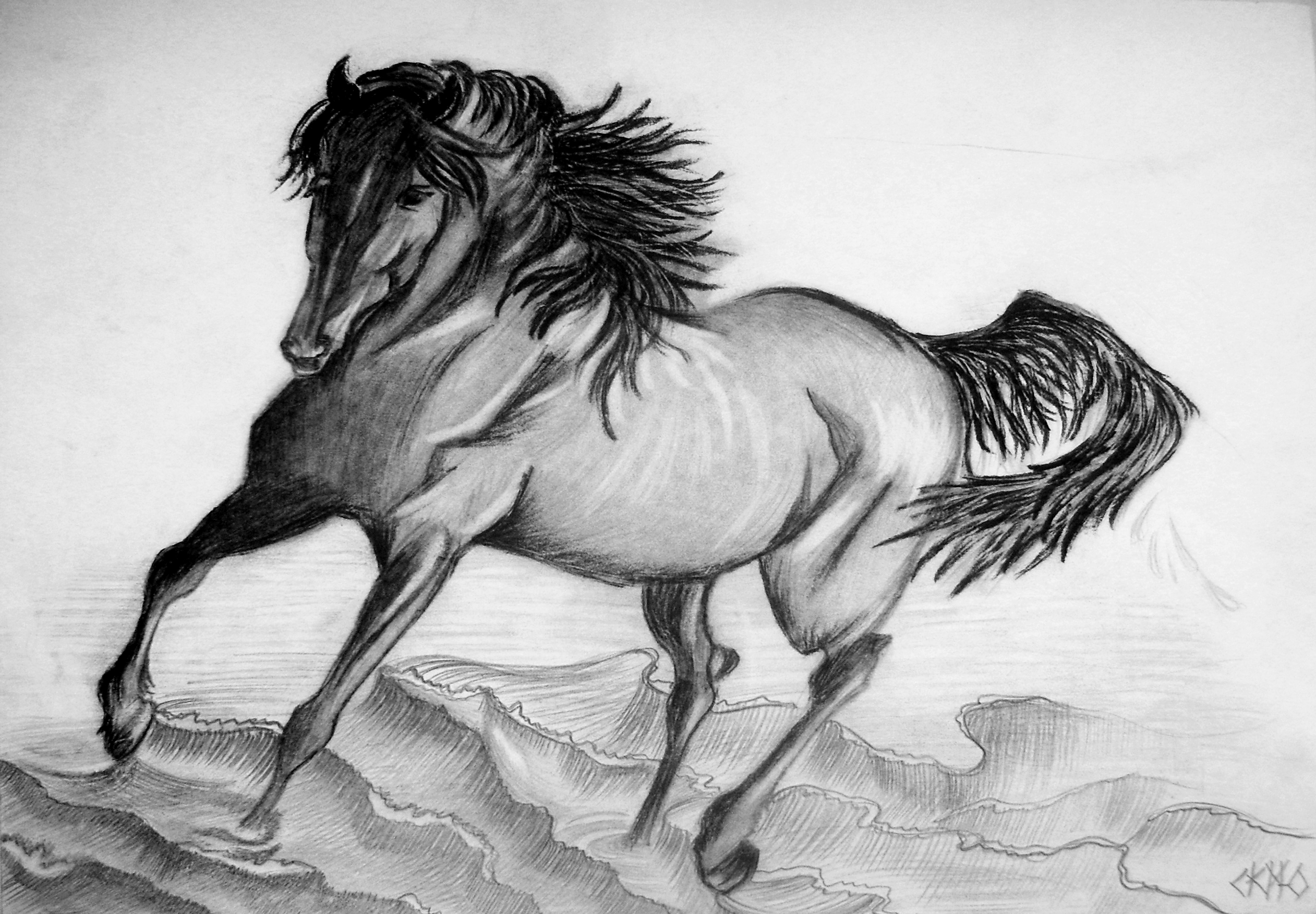 бегущая по волнам